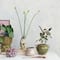 Hello Honey® 10.75" Green Hand-Painted Terra Cotta Urn with Reactive Glaze